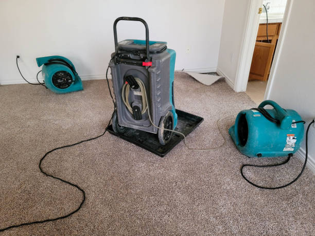 Best Mold removal after water damage  in West Reading, PA