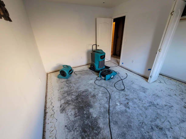 Best Sewage cleanup and water damage restoration  in West Reading, PA
