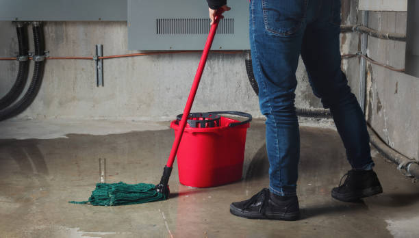 Best Water damage restoration process  in West Reading, PA