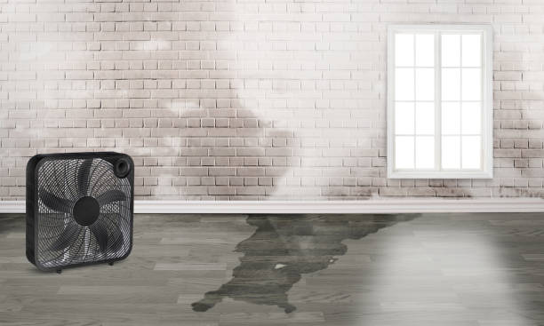Best Flood restoration services  in West Reading, PA