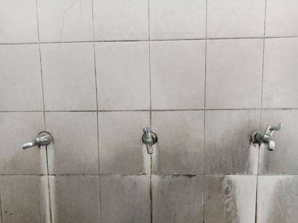  West Reading, PA Water damage restoration Pros