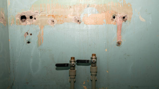 Best 24/7 water damage repair  in West Reading, PA