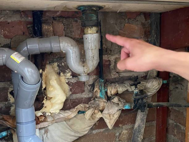 Best Basement water damage restoration  in West Reading, PA