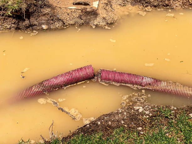  West Reading, PA Water damage restoration Pros