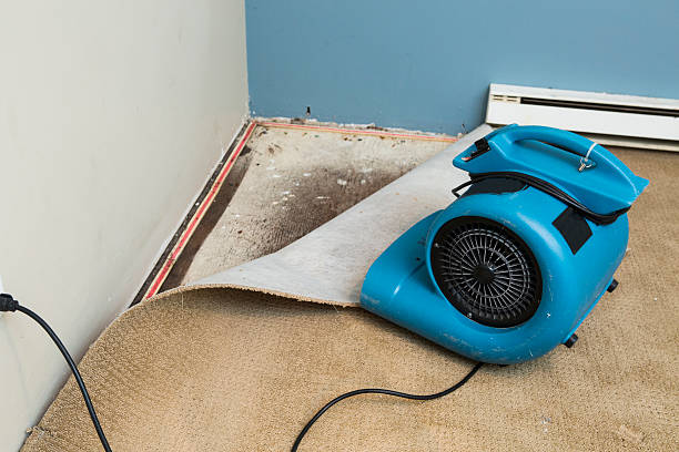 Best Water damage restoration near me  in West Reading, PA