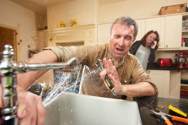 Best Water damage cleanup near me  in West Reading, PA